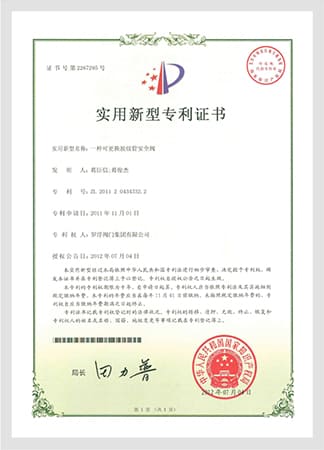 Replaceable Bellows-Type Safety Valve