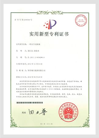 Safety Switching Valve